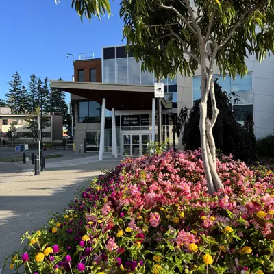 City hall entrance with pink blooming flowers