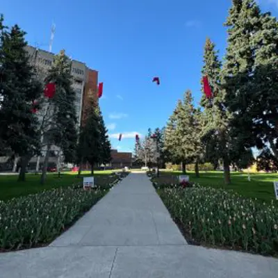 Red dresses hanging in front of the entrance to City Hall marking M.M.I.W.G.2.S.+