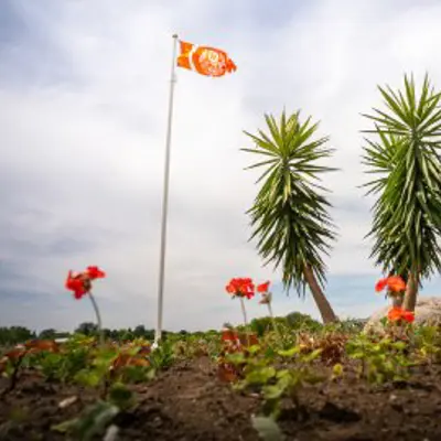 Truth and Reconciliation Flag flying high at Ed Broadbent Park