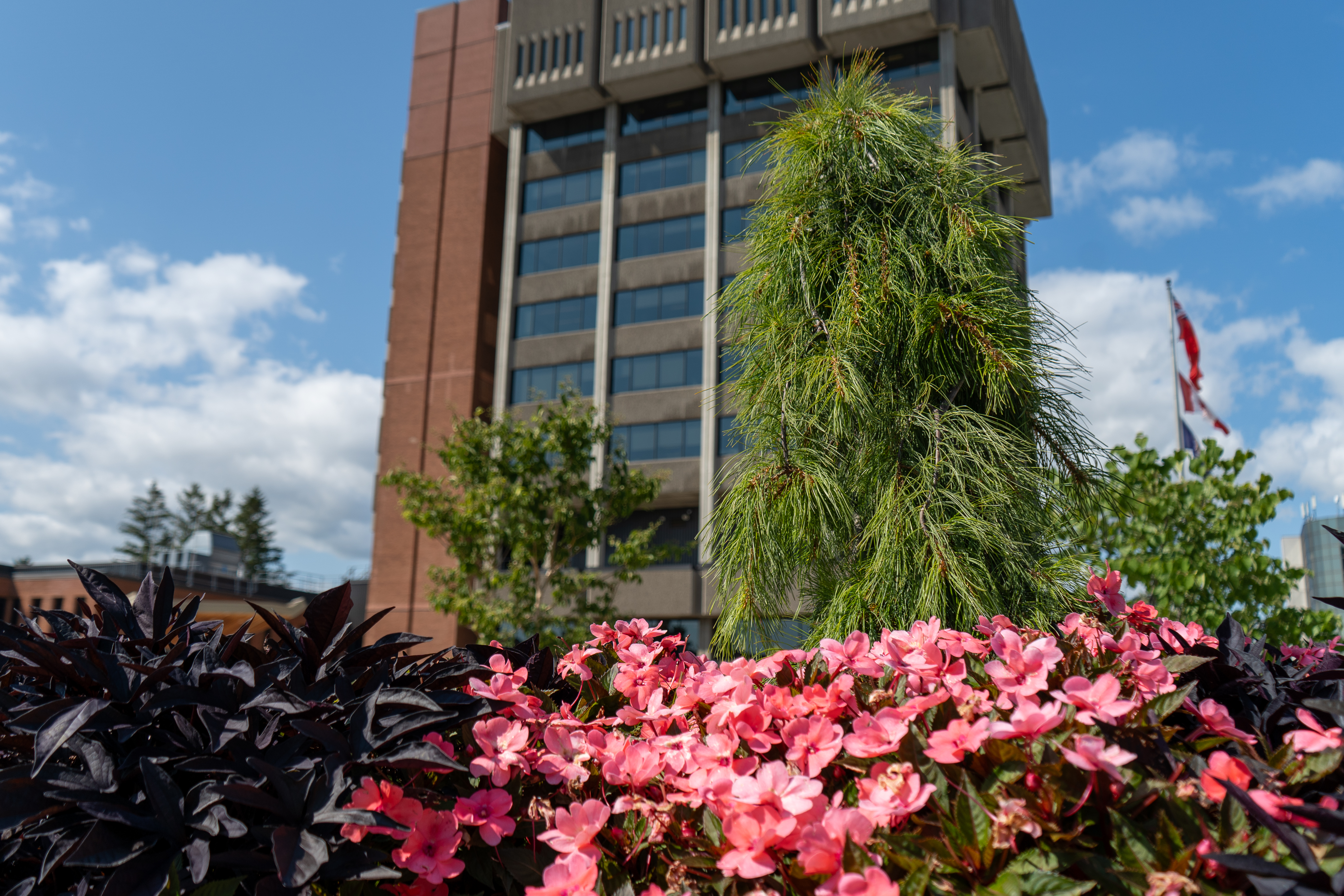 City Hall with gardens