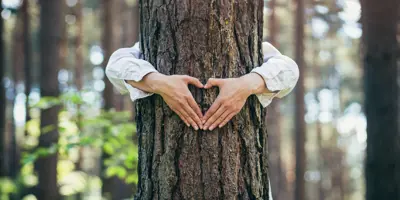 person with arms around tree making a heart shape with their hands