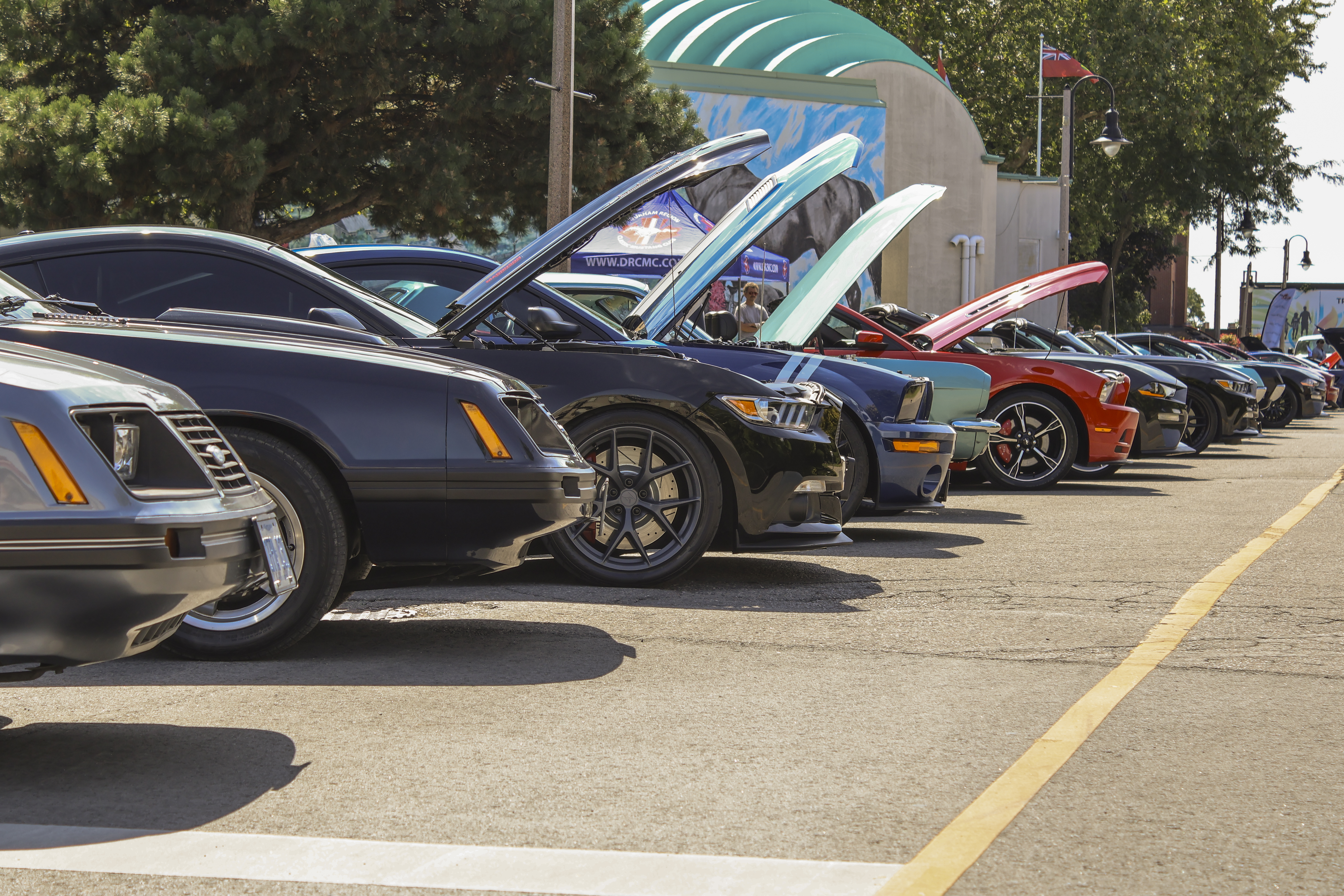 Kars On King lined up