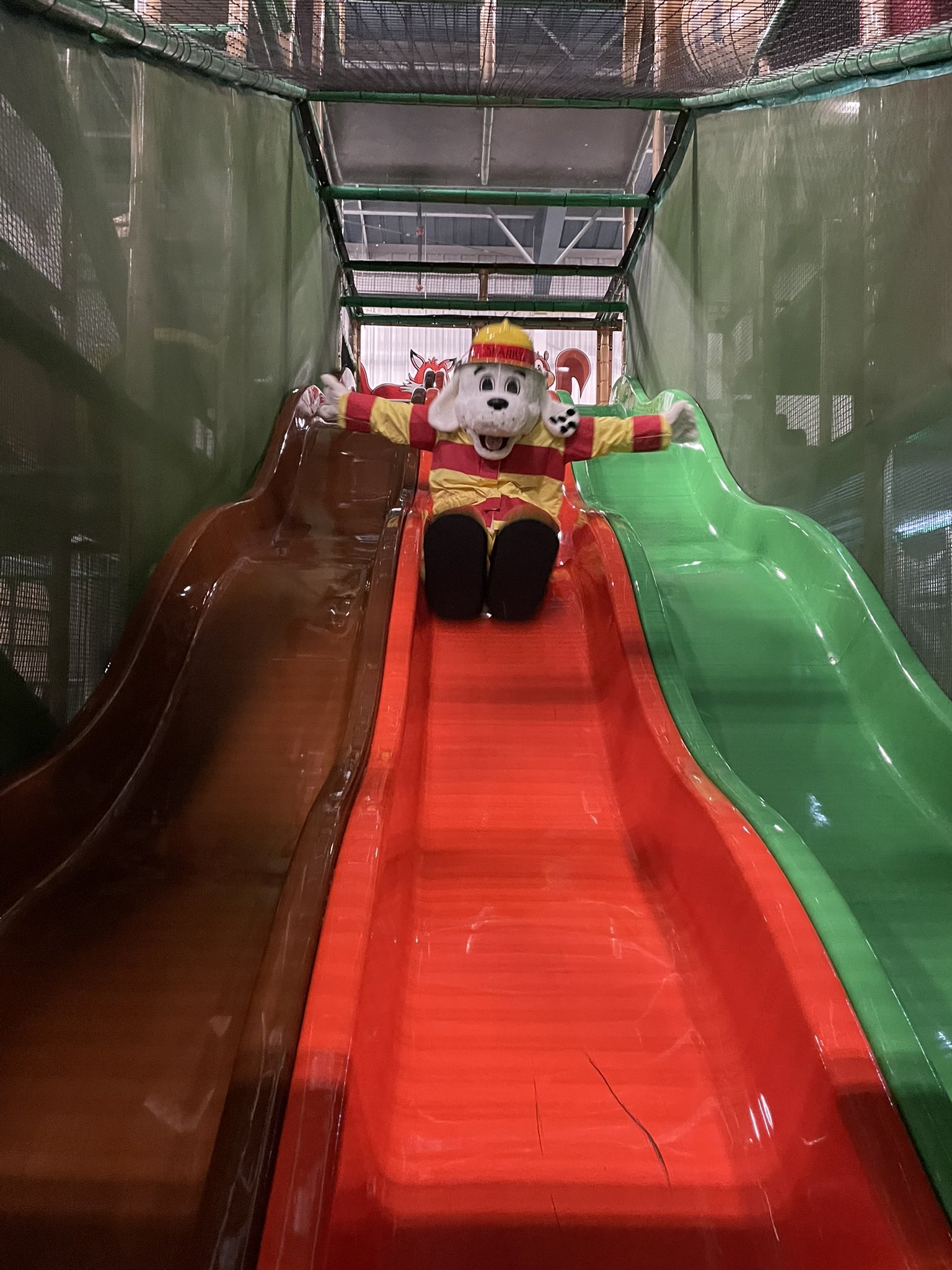 Sparky dog mascot  on slide