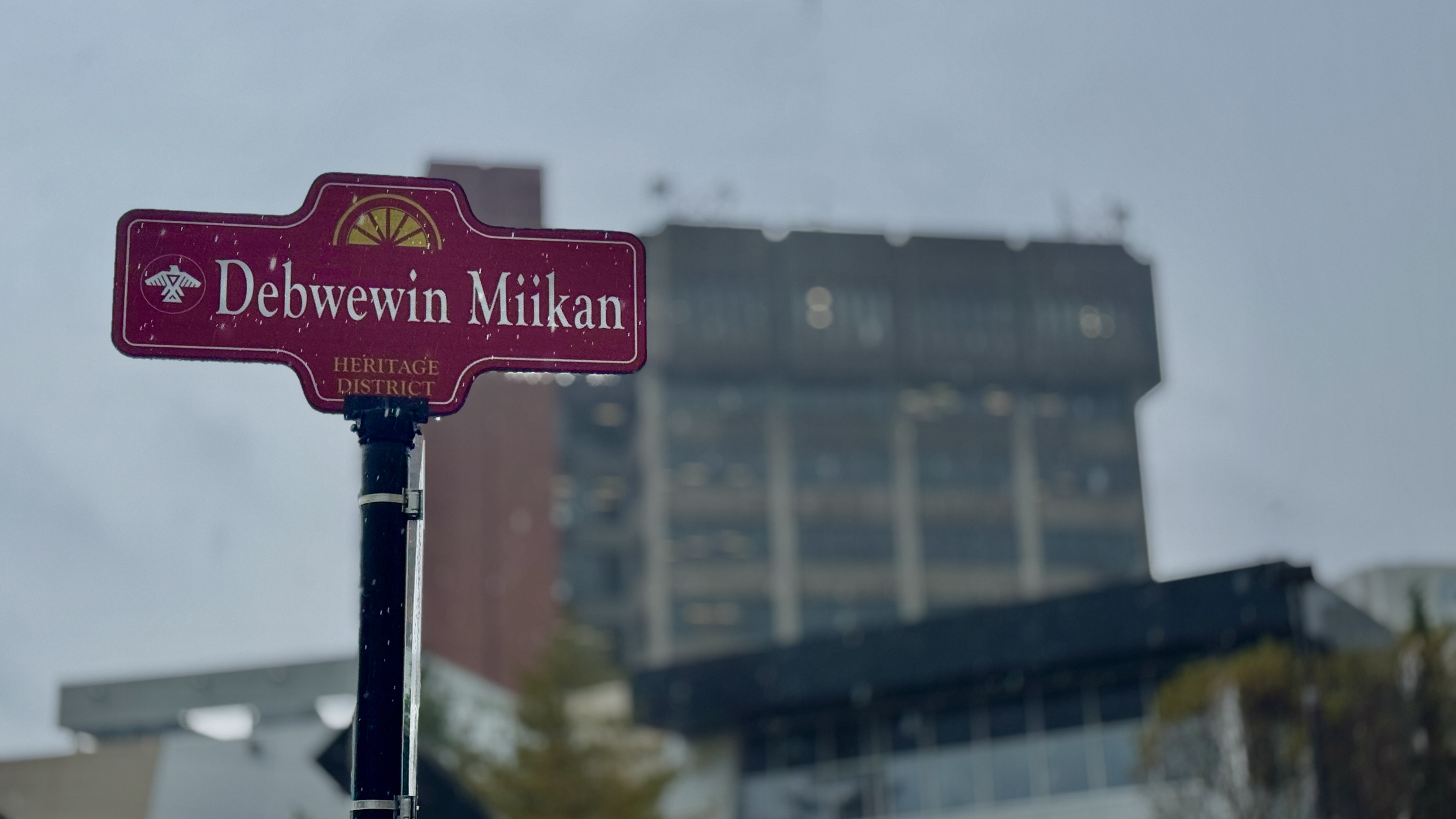 Debwewin Miikan street sign