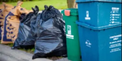 a brown leaf bag, 2 black garbage bags, a green bin and stacked blue boxes on a curb