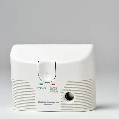 two carbon monoxide alarms