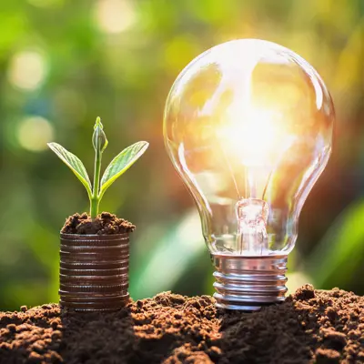 light bulb in the earth with leaves surrounding