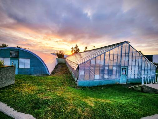 exterior view of greenhouse with sunset