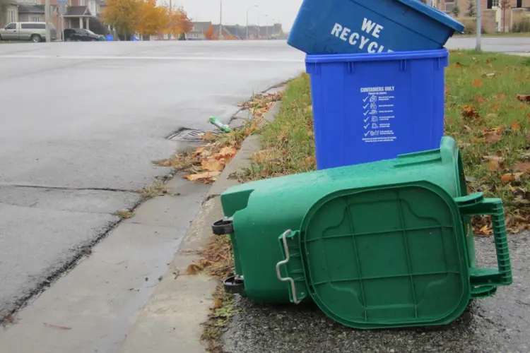 empty recycling and compost bins