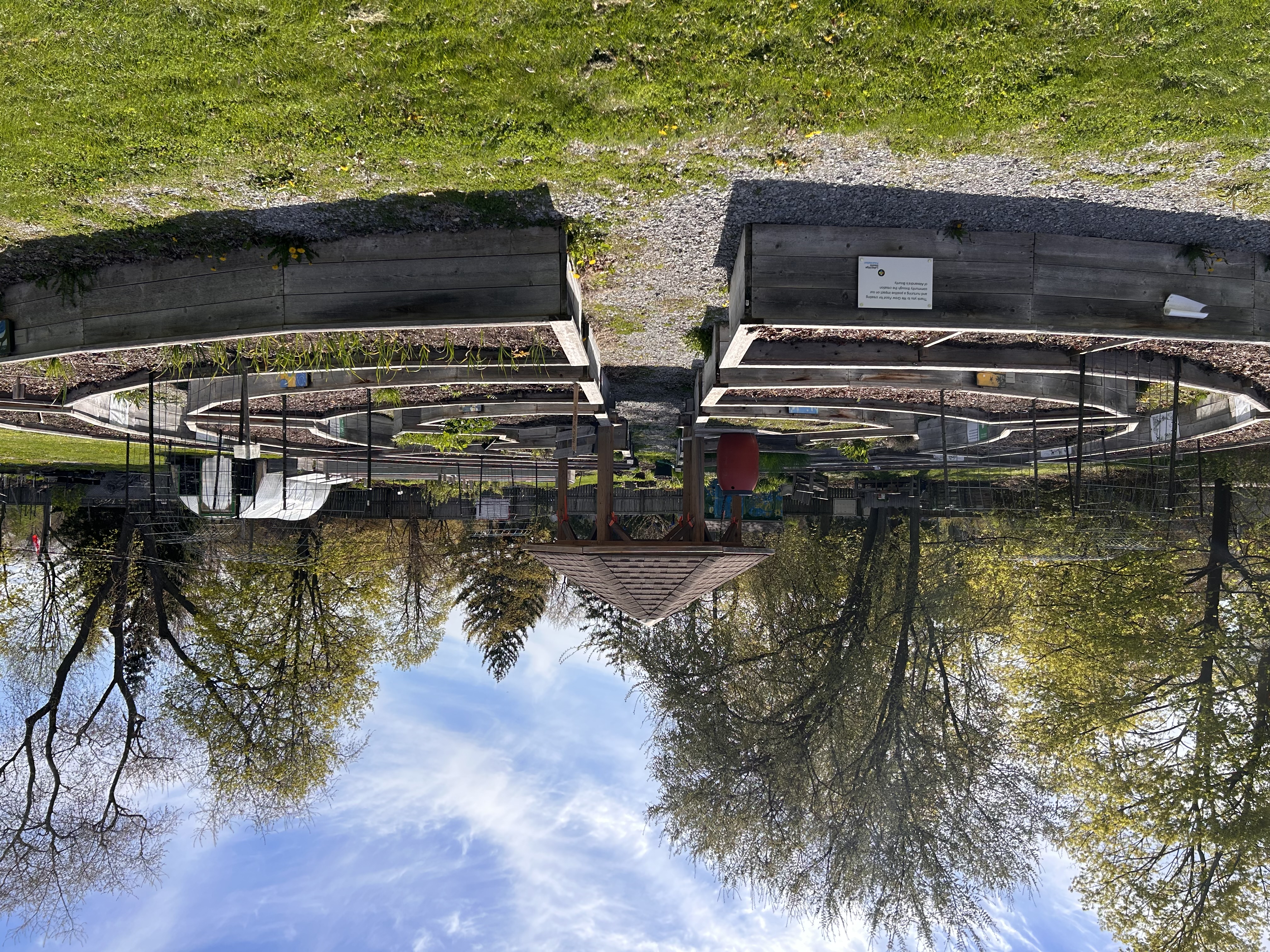 Community garden with gazebo in spring
