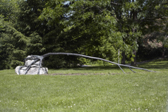 River Tree/Bench in the RMG backyard