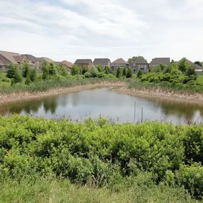 A pond 