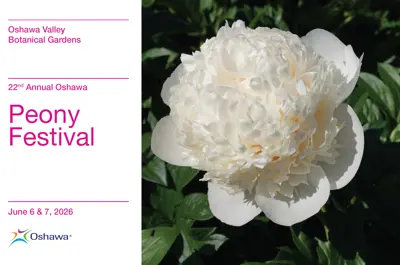 cover image of event program