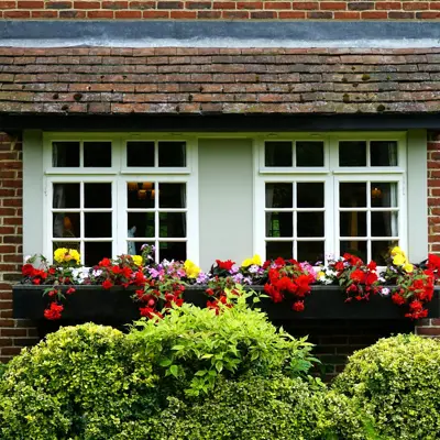 Flower planters in window boxes hedges in front