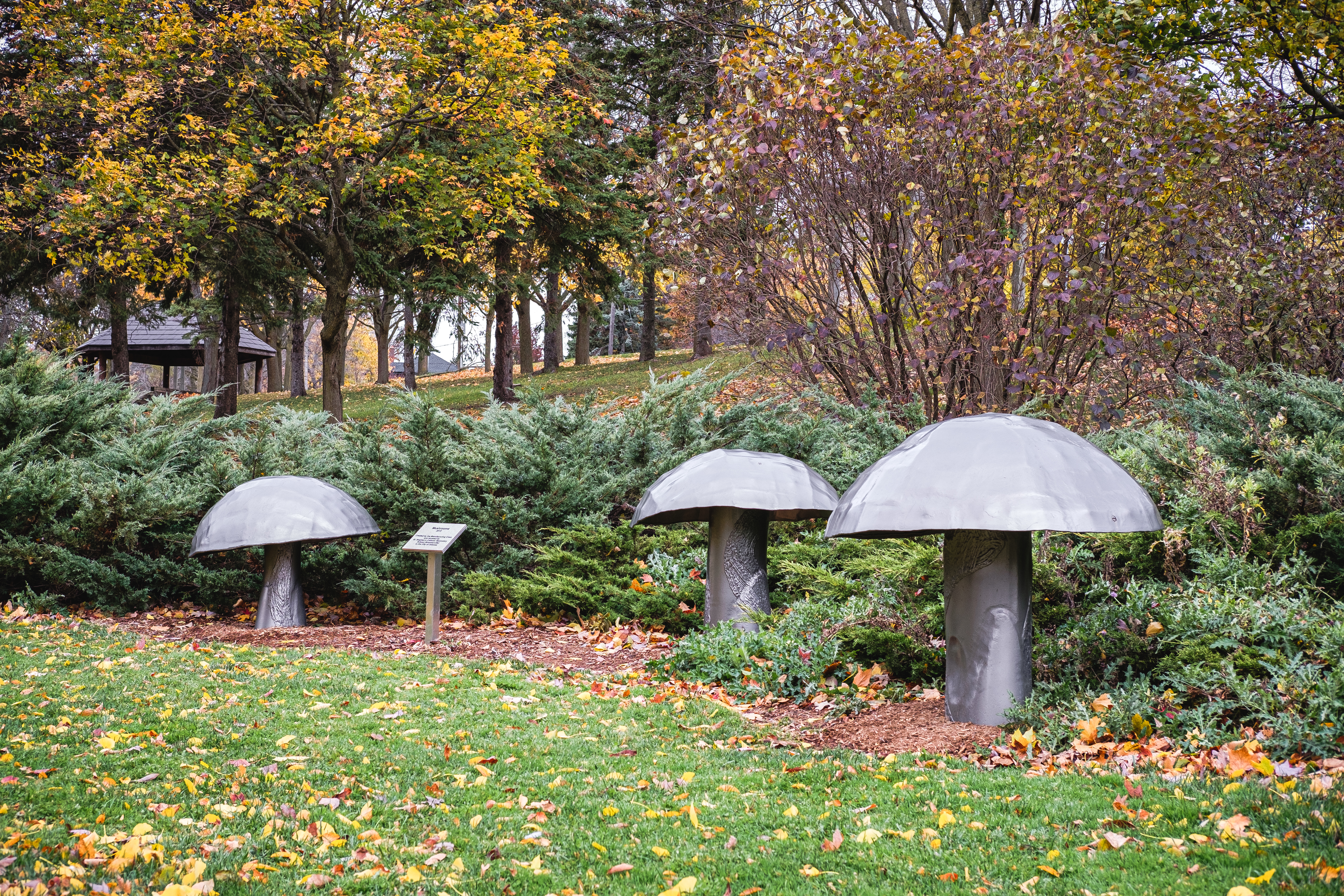 Sculpture of three mushrooms in Oshawa Valley Botanical Gardens