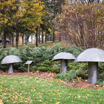Sculpture of three mushrooms in Oshawa Valley Botanical Gardens