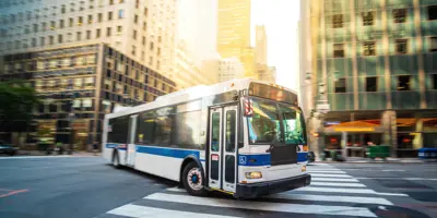 bus