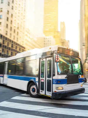 bus
