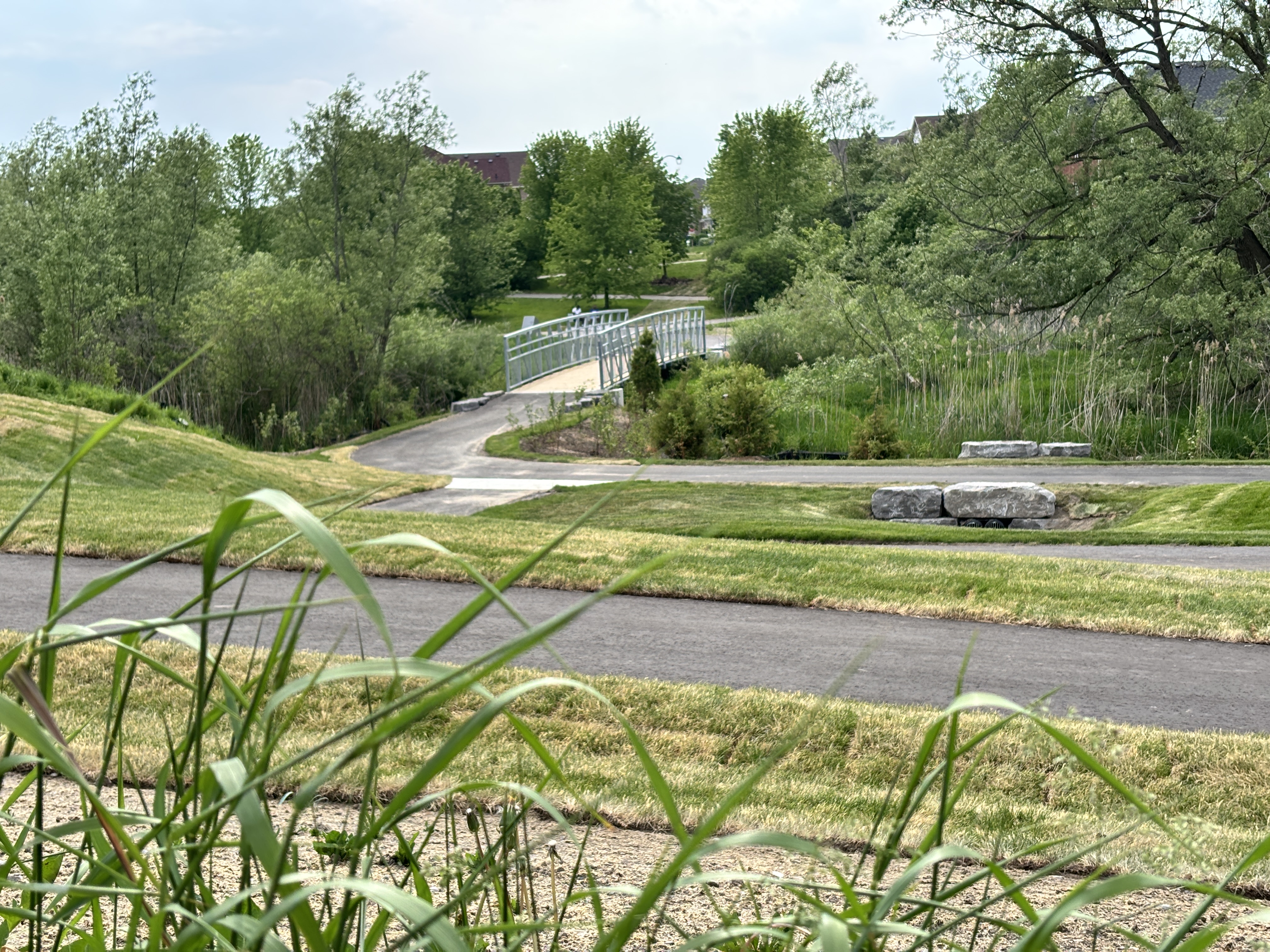 Harmony Creek Trail