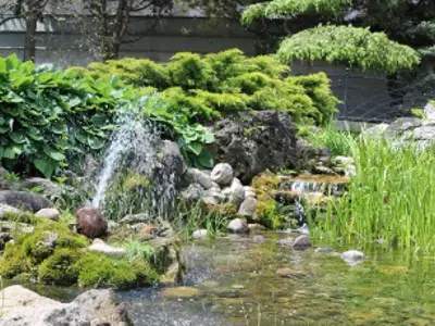 pond with water fountain
